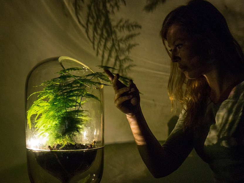 Голландский дизайнер сделала из растений светильники